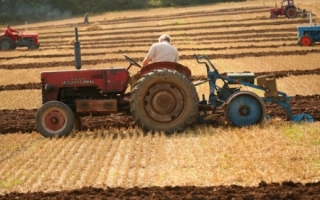 Parlamentul a decis. Producatorii agricoli vor achita 8% TVA in loc de 20% 