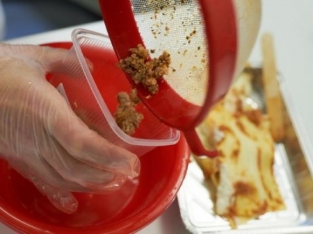 Carnea artificiala, crescuta in laborator, scoasa in lume. Unde se va servi primul hamburger de 250.000 de dolari