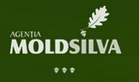 Moldsilva, sub lupa Guvernului: Leanca a creat o comisie care va verifica activitatea institutiei