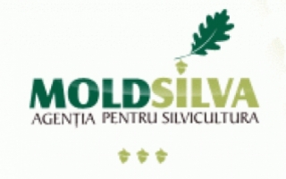 Noi sefi la Moldsilva si Inspectoratul Ecologic de Stat. Cine sunt acestia