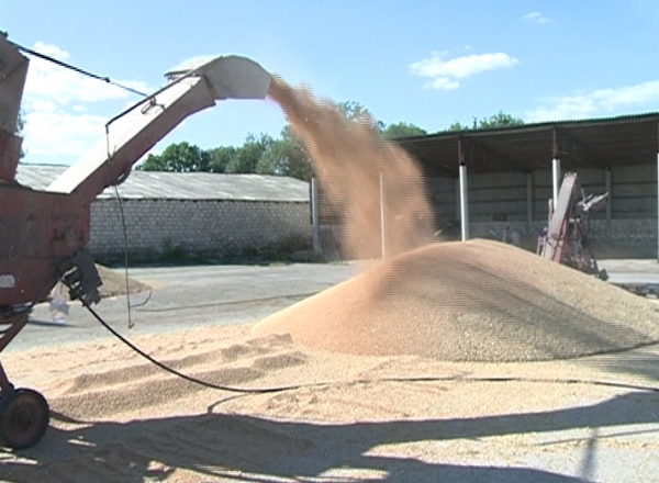 Avem paine, dar tot nu suntem fericiti. Marea problema cu care se confrunta acum agricultorii