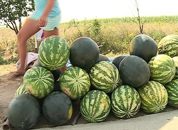 Chiar daca recolta de pepeni verzi e mai mult decat satisfacatoare, agricultorii au o mare problema