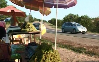 Struguri multi, cumparatori putini: Suntem nevoiti sa lasam roada pe deal sau sa producem mai mult vin