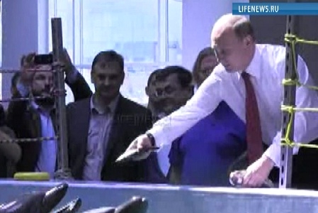 Vladimir Putin continua sa-si promoveze imaginea de erou. Vezi cum a hranit cu peste cativa delfini