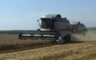 Guvernul a DECIS: TVA-ul in agricultura ar putea reveni la 8 procente