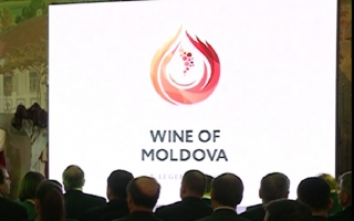 Cele mai bune vinuri moldovenesti vor avea imprimat pe eticheta un logo de calitate. Cum va arata acesta