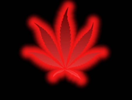 VIDEO. "Se poate sa vand marijuana?" Intrebarea tinerilor comunisti catre autoritati
