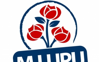 VIDEO HAIOS. Noul imn al PD: "Cel mai albastru partid, Plahotniuc e deja pe dancefloor!"