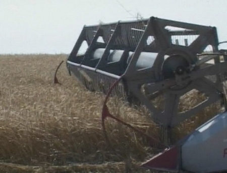 VIDEO. Agricultorii ameninta cu proteste daca nu va fi anulat TVA-ul de 20 % la produsele agricole