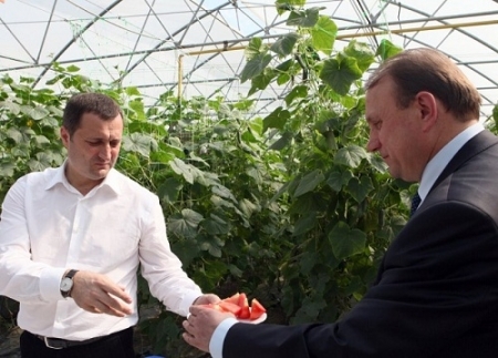 VIDEO. Filat: Pierderile produse de seceta se ridica la aproape 3 miliarde de lei! Ce spune Bumacov