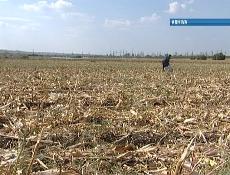 Oficial ne merge rau. Cresterea economica din acest an ar putea duce la o explozie de preturi