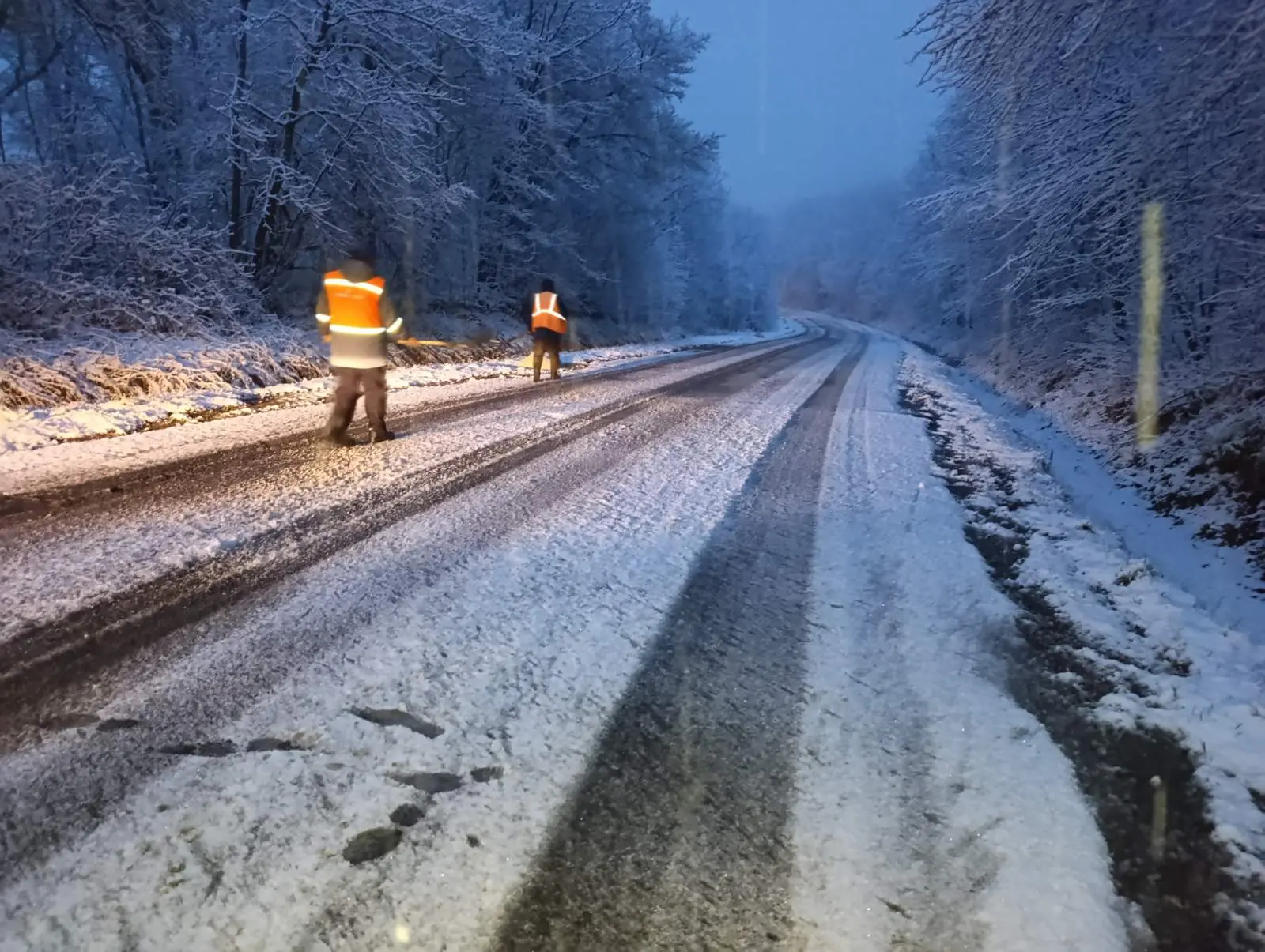 Drumuri înzăpezite