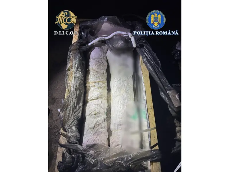 Armamentul depistat în camioniul de la vamă 