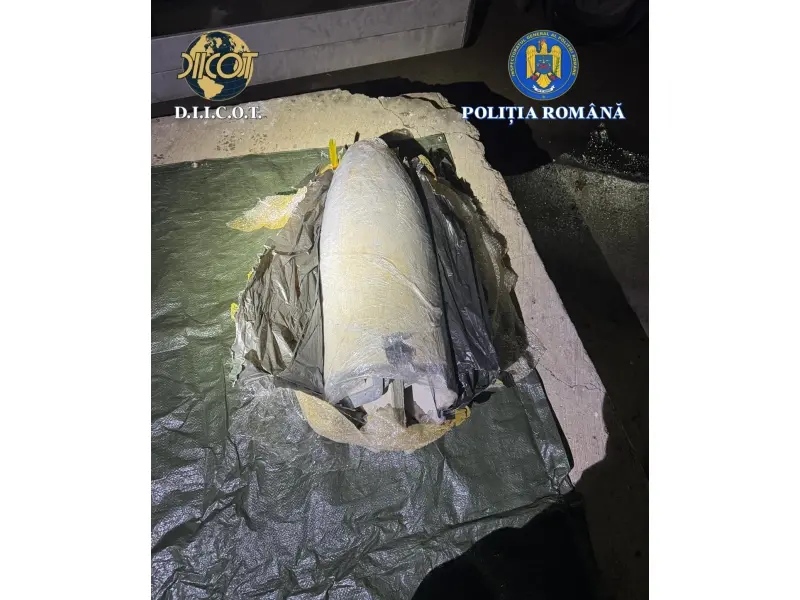 Armamentul depistat în camioniul de la vamă 