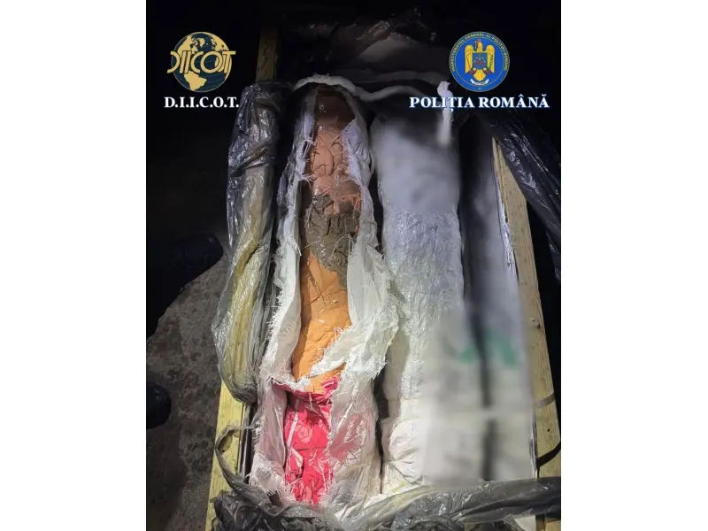 Armamentul depistat în camioniul de la vamă 