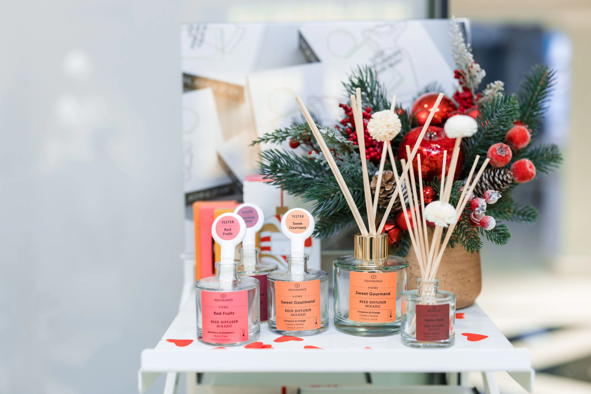 Imagine de la evenimentul O Seară Perfectă