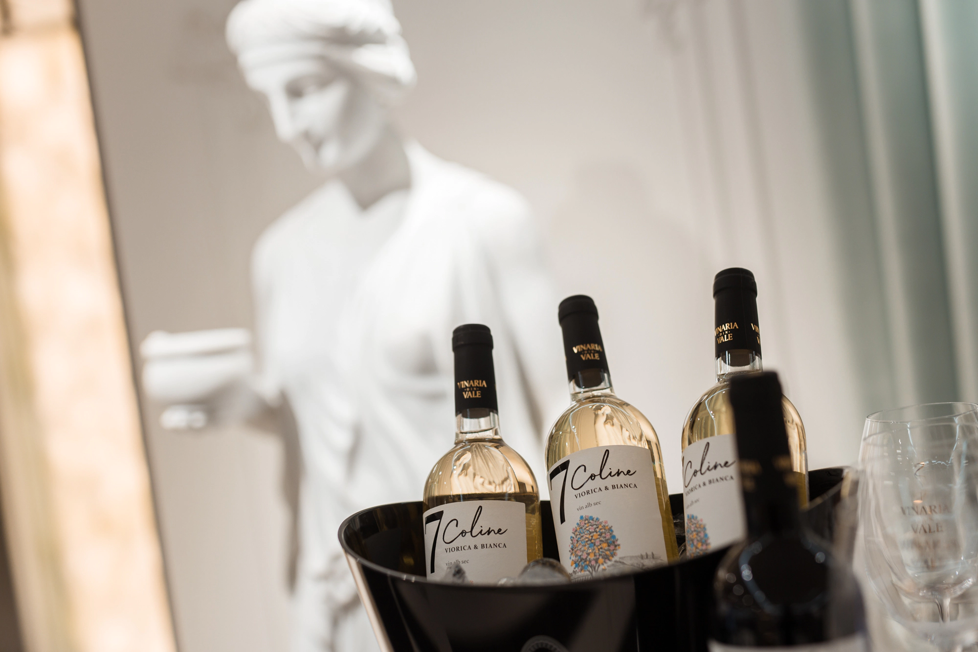 Imagine de la evenimentul O Seară Perfectă