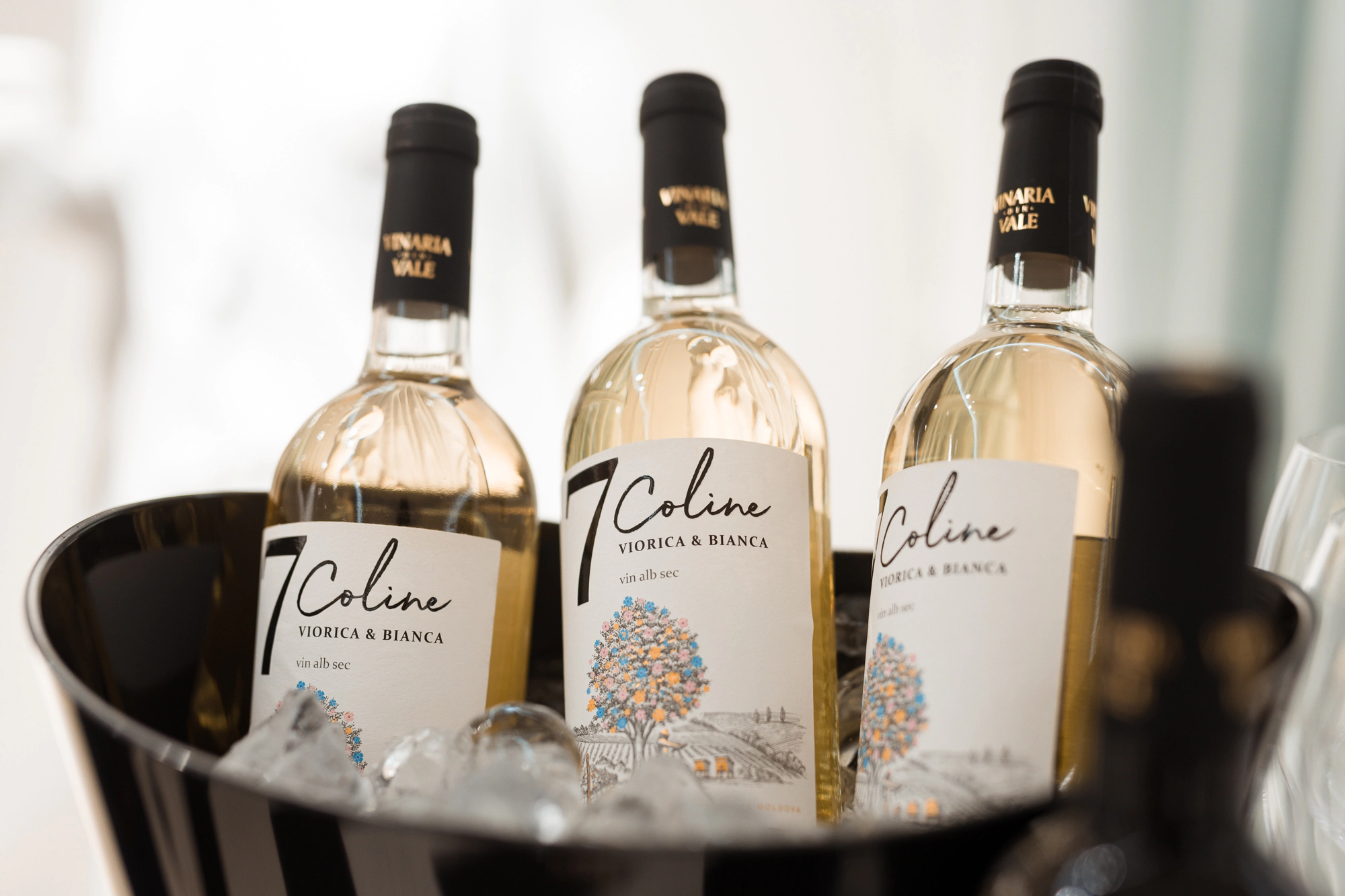 Imagine de la evenimentul O Seară Perfectă