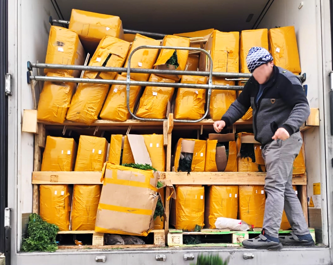 Produse alimentare neconforme