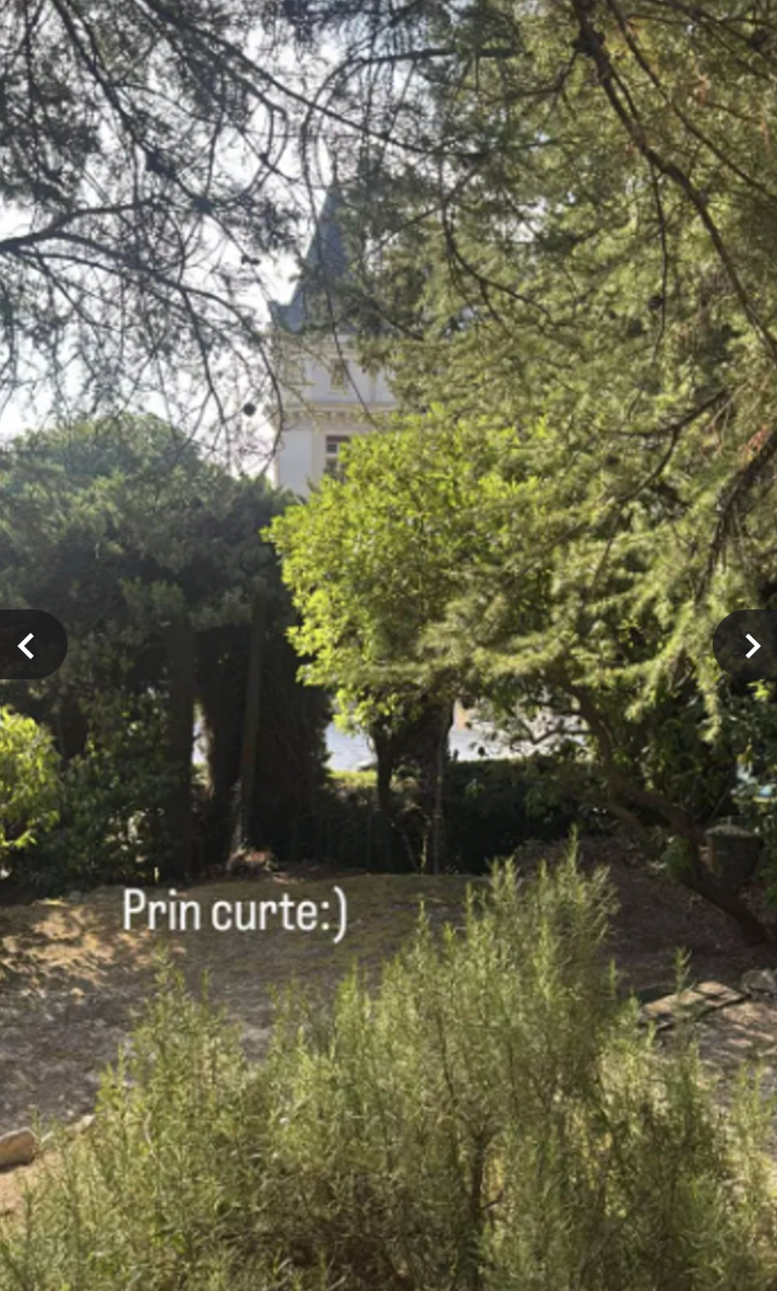 Postare de pe pagina Andreei Esca