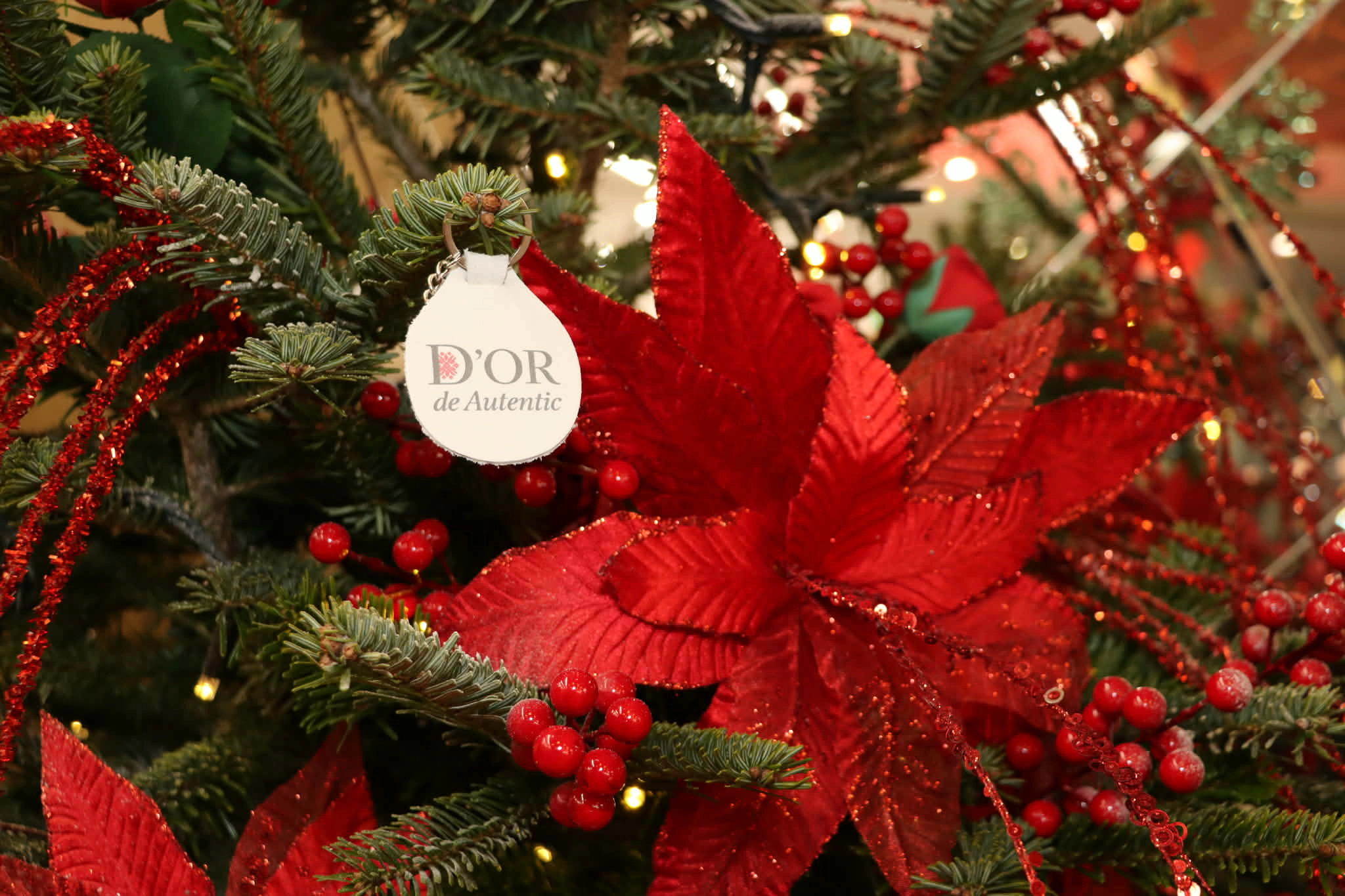  „Dor de Autentic”