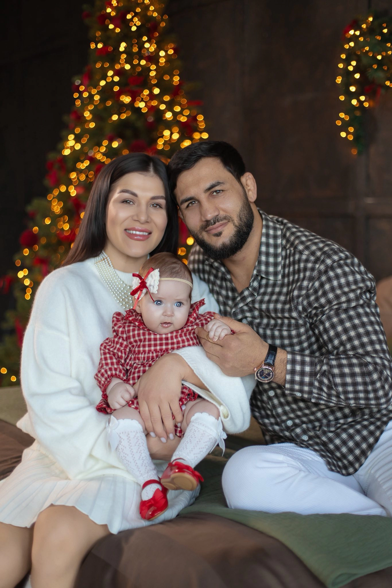 Familia Mircea