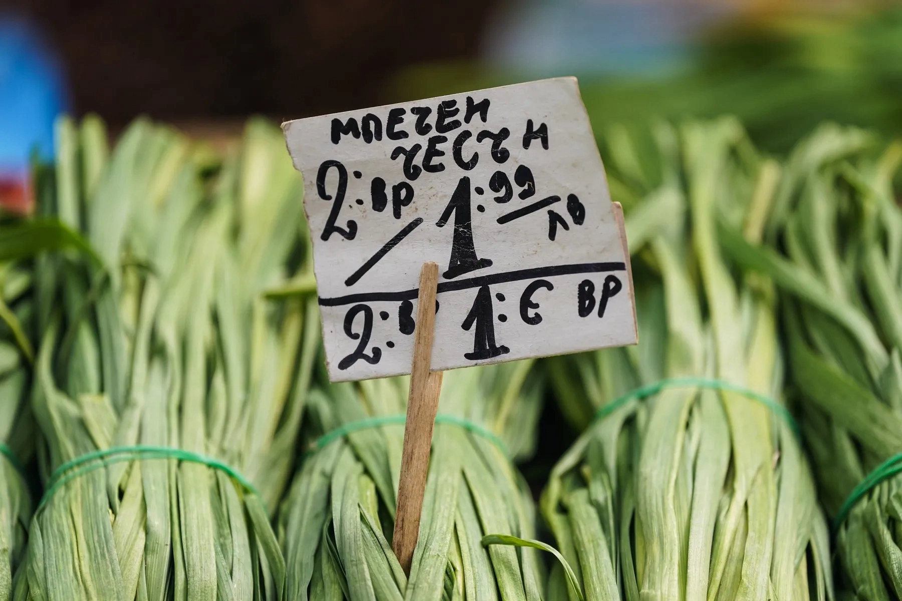 Legume cu prețul în leva și euro într-o piață din Sofia 