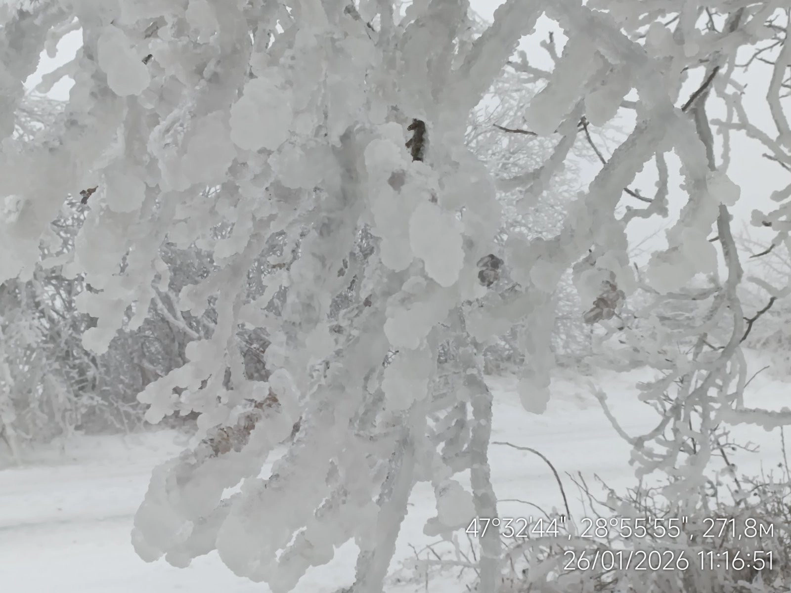 Depuneri de chiciură 