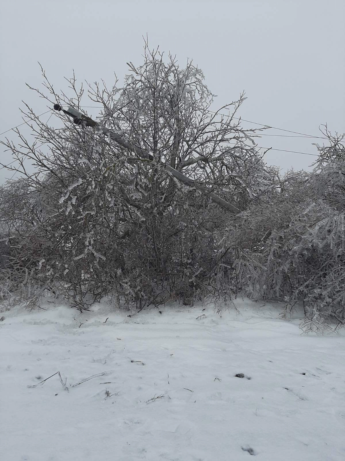 Linii electrice aeriene deteriorate