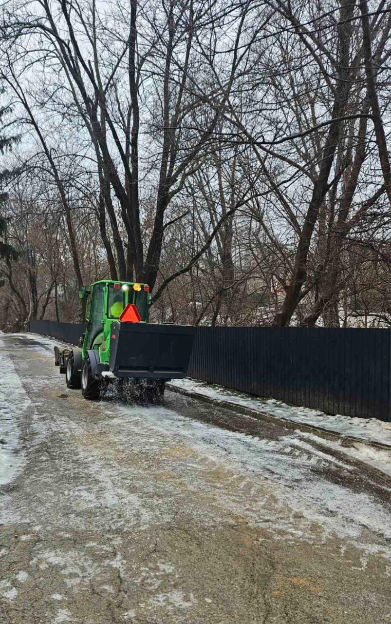 Serviciile municipale 