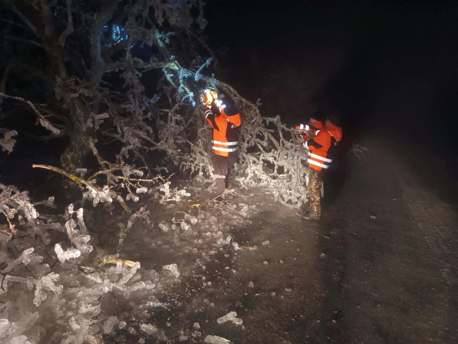 Copaci căzuți pe drum