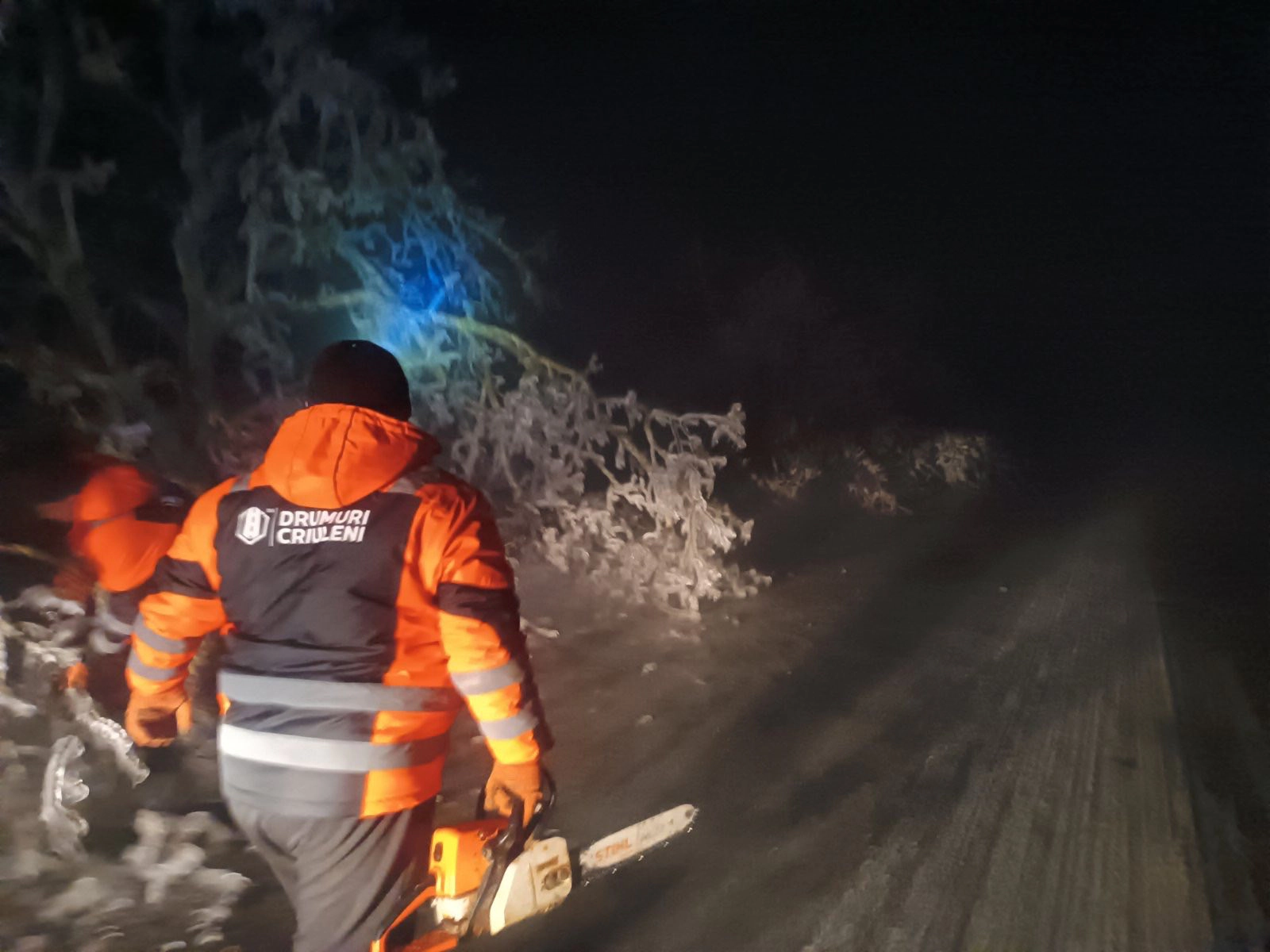 Copaci căzuți pe drum