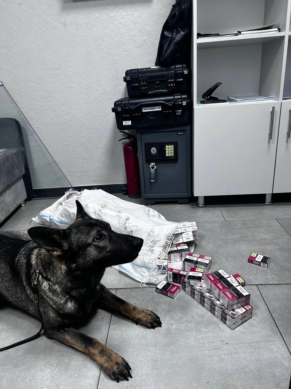 Țigările depistate 