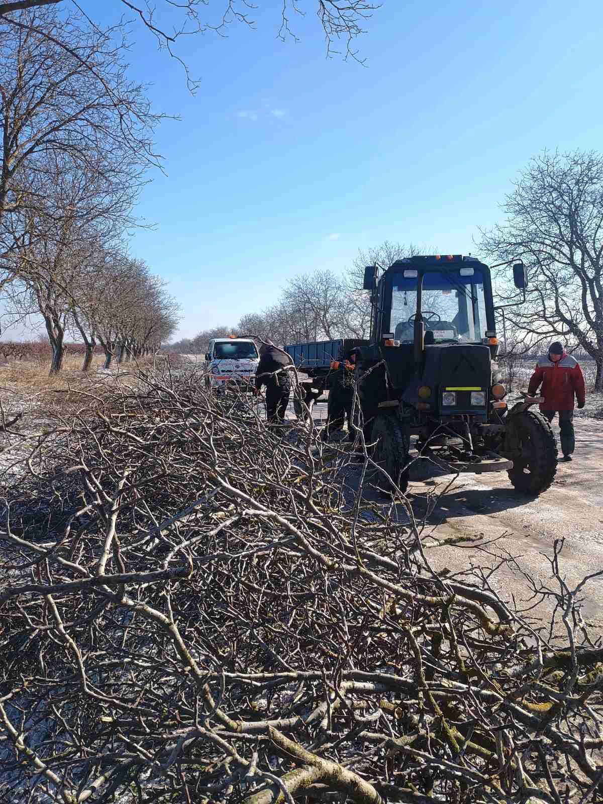 Defrișări și curățarea copacilor de pe marginea drumurilor