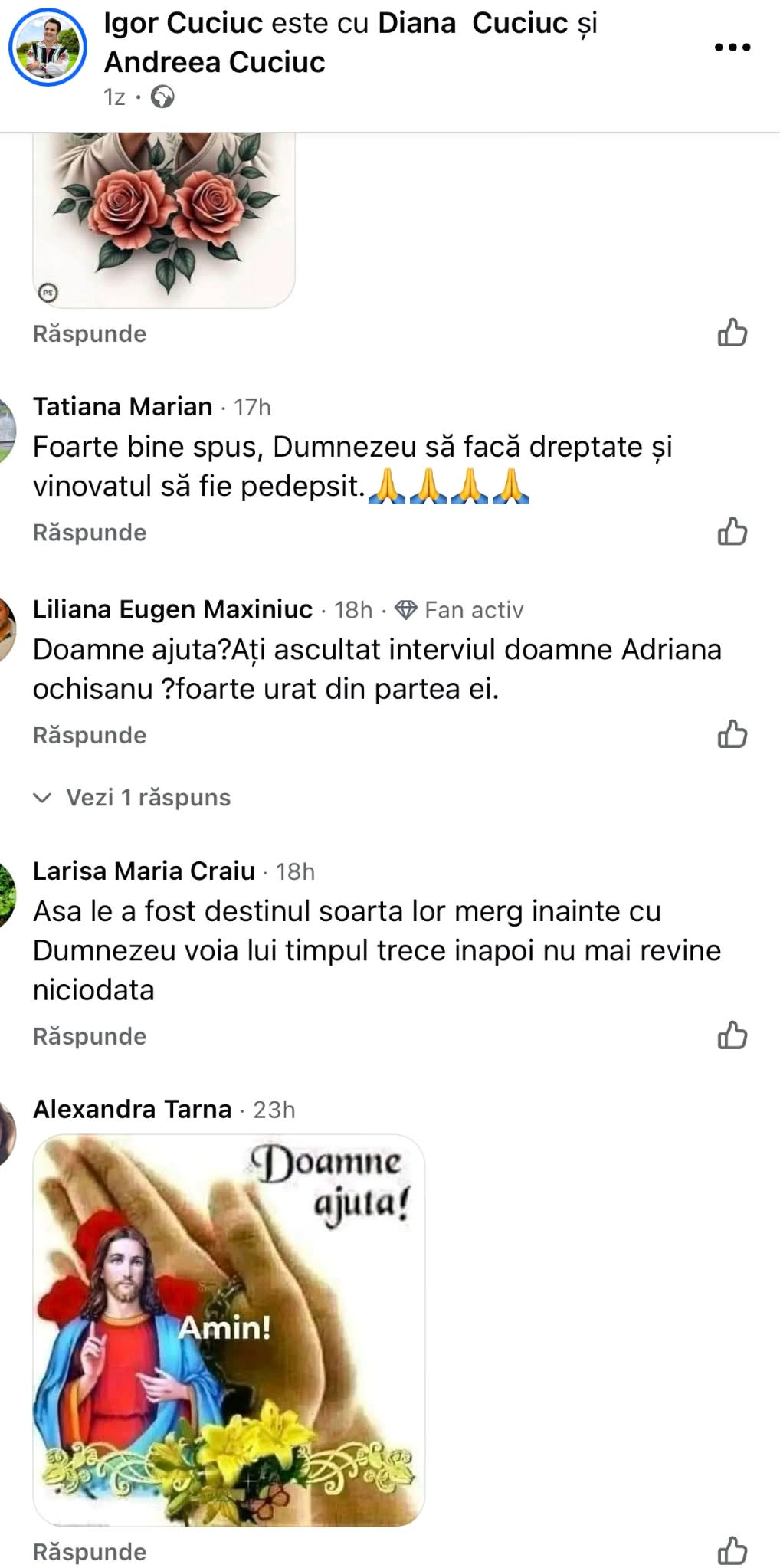 Comentariile sub postare