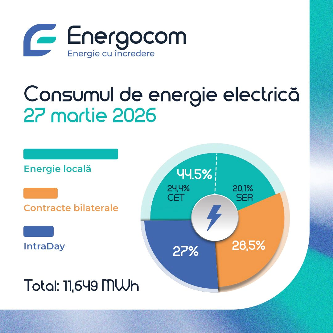 Consumul de energie electrică
