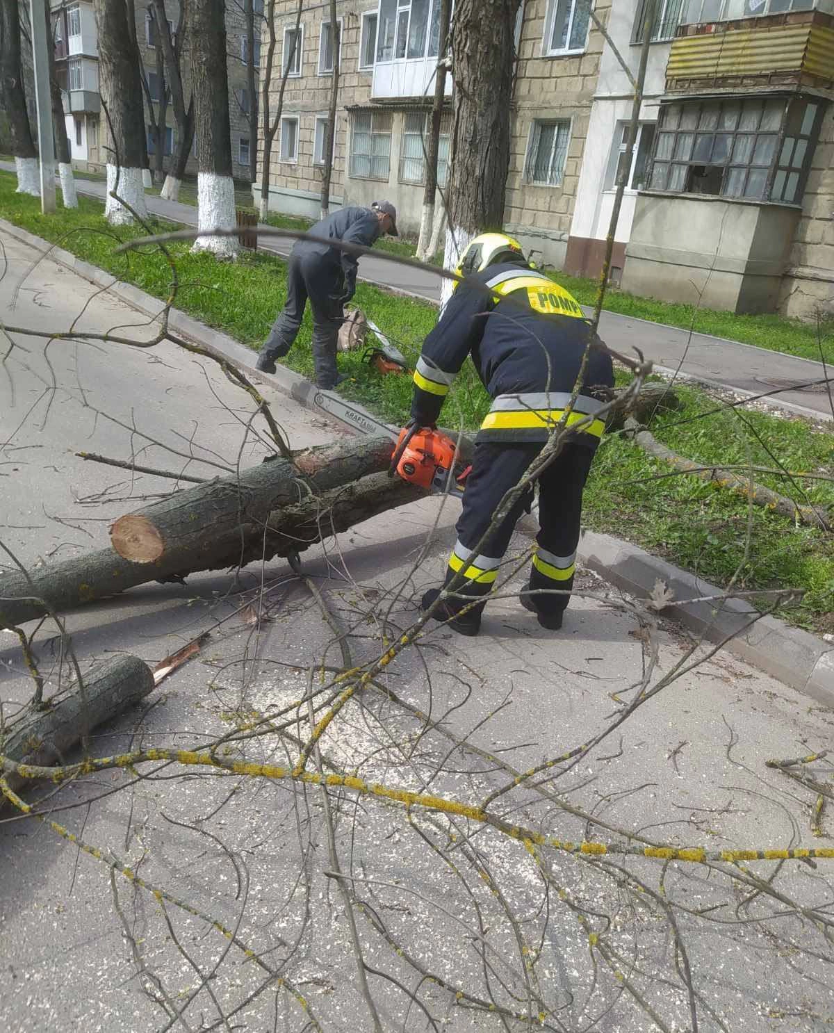 Intervenție salvatori