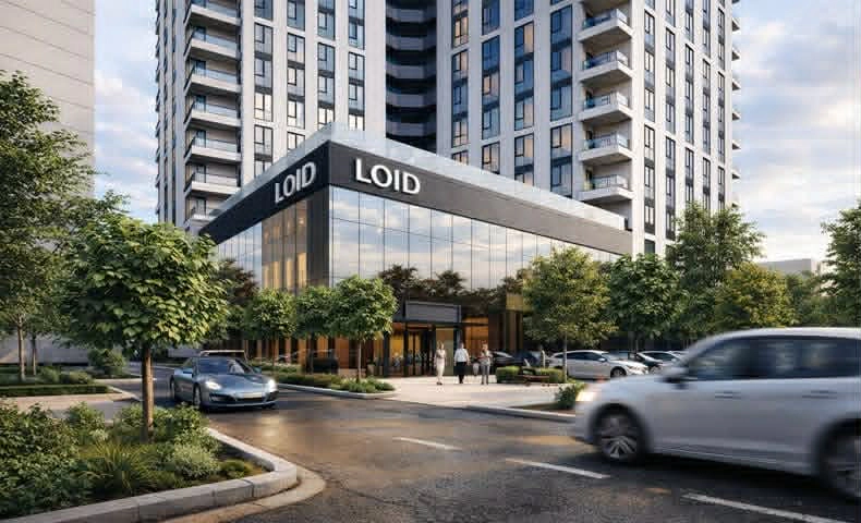 Loid Construction