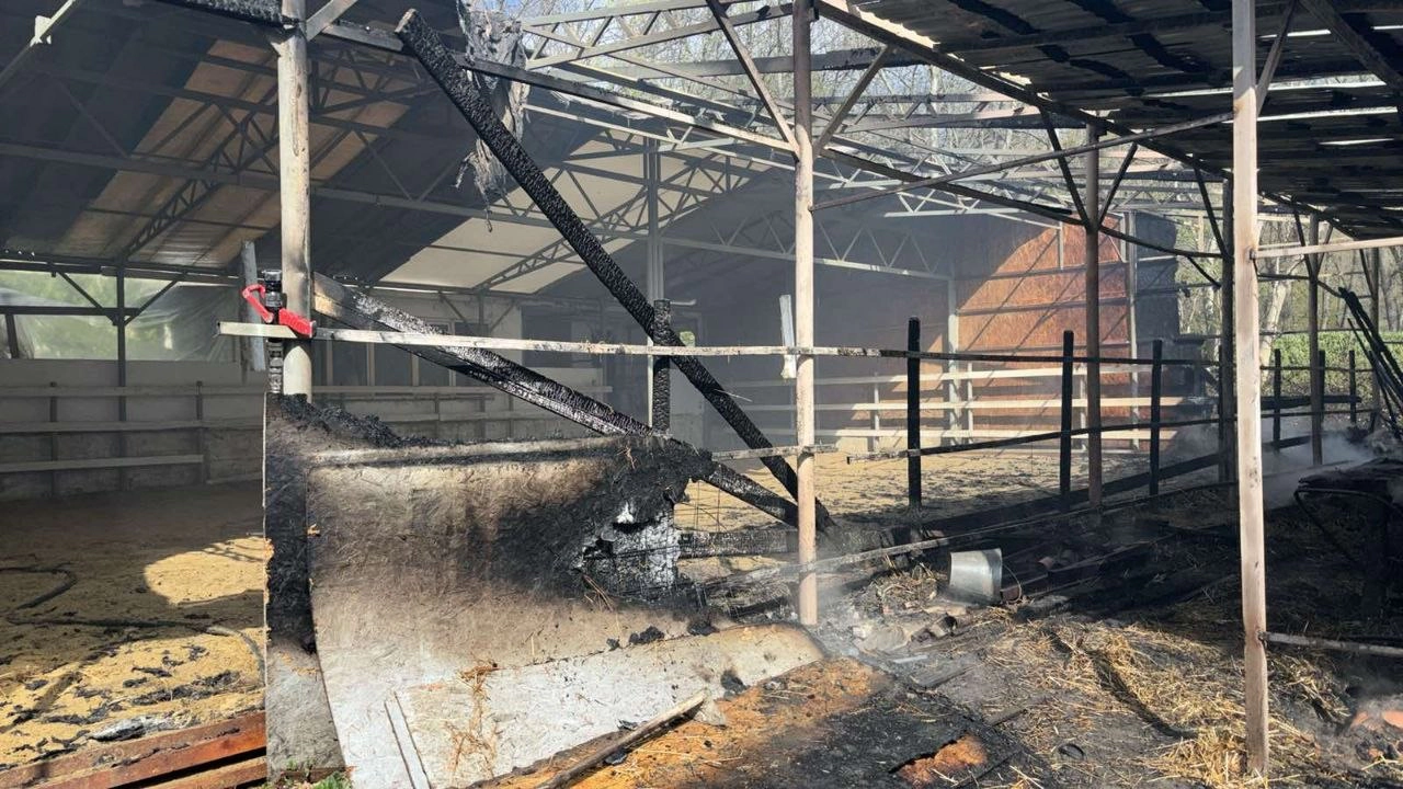 Incendiu
