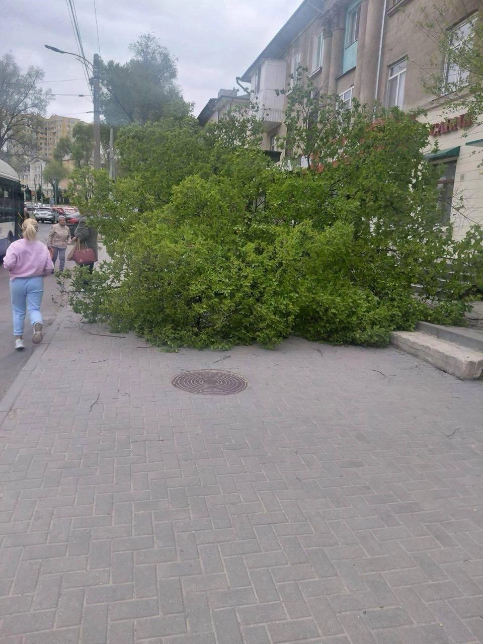 Vântul a provocat pagube