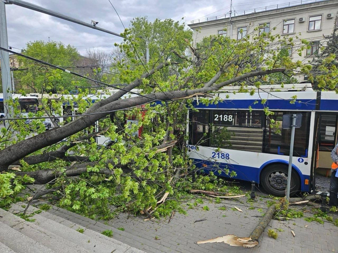 Vântul a provocat pagube