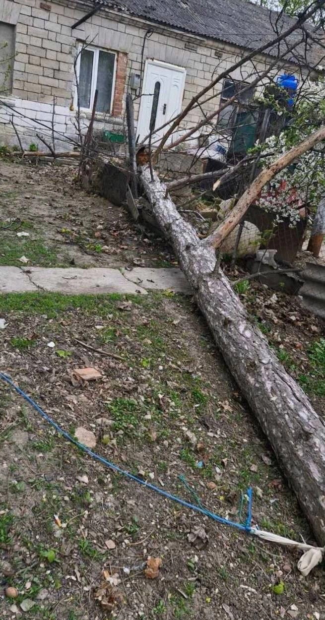 Vântul a provocat pagube