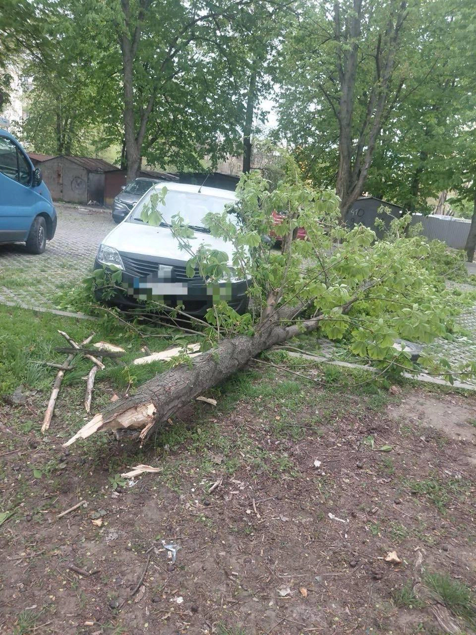 Vântul a provocat pagube