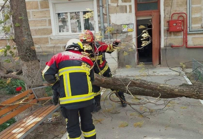 Intervenții salvatori