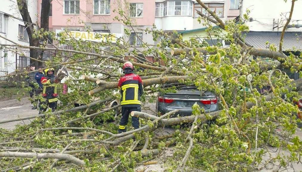 Intervenții salvatori