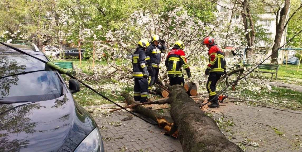 Intervenții salvatori