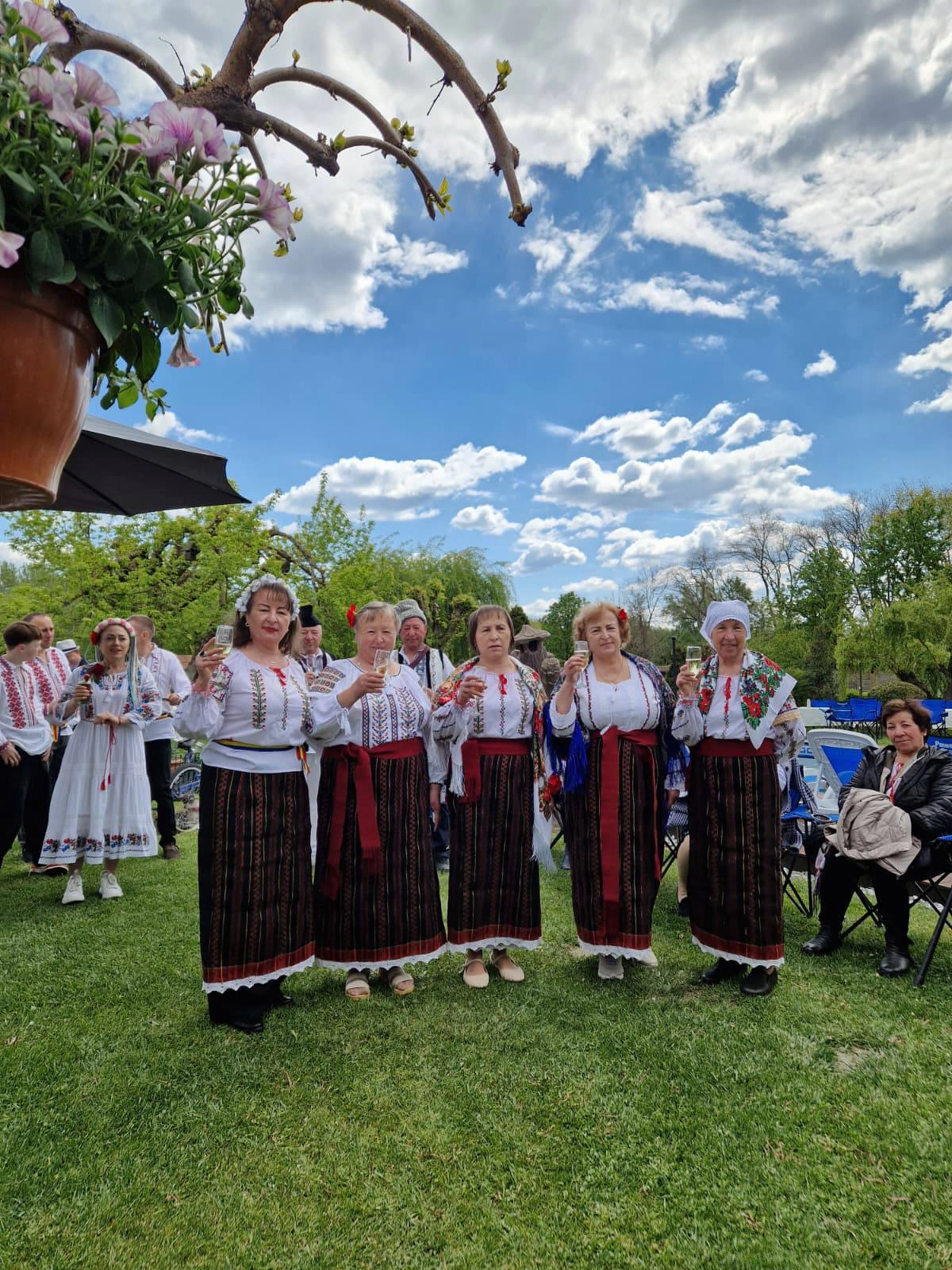 Familia Motricală