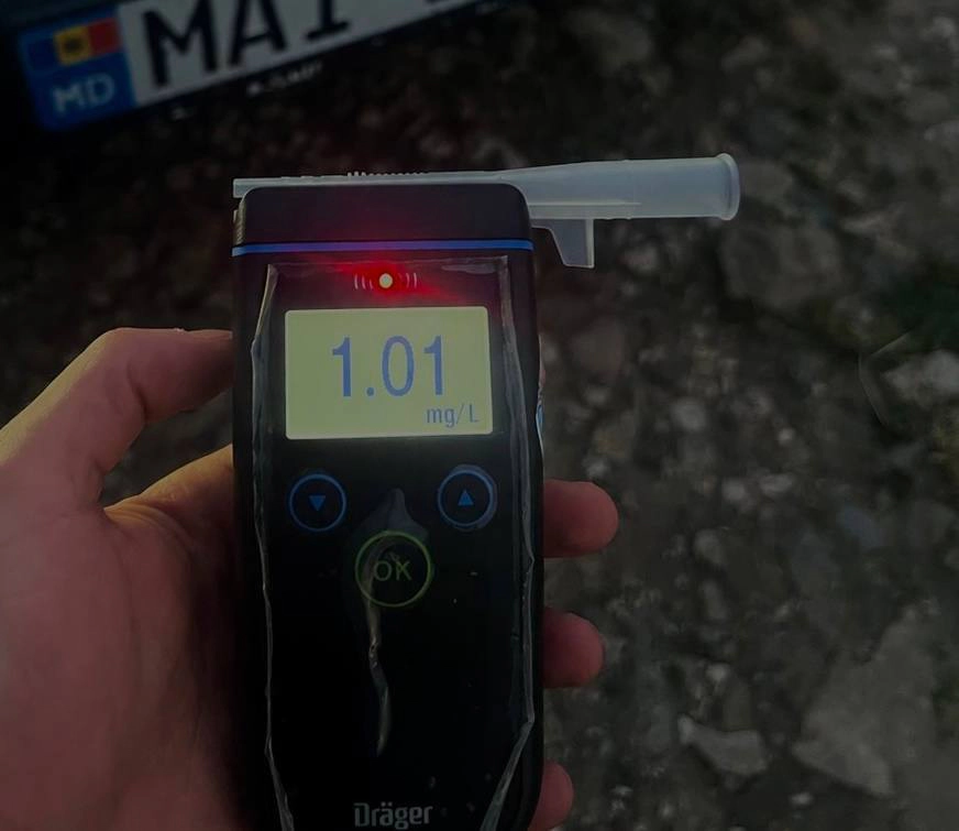 Rezultatele testelor