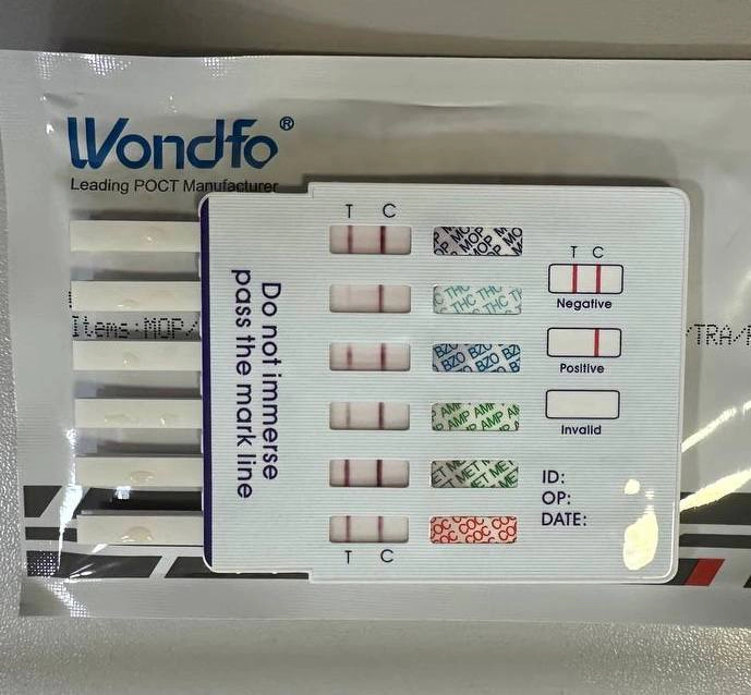 Rezultatele testelor