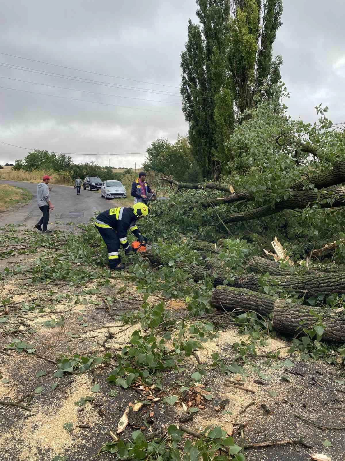 Intervențiile salvatorilor IGSU în urma ploilor